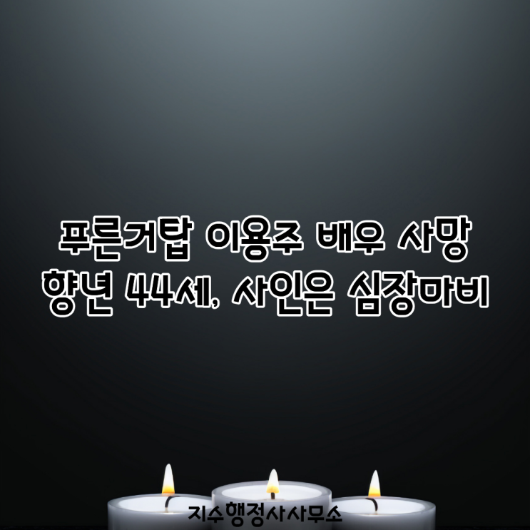 이용주 PDF 수록 이미지