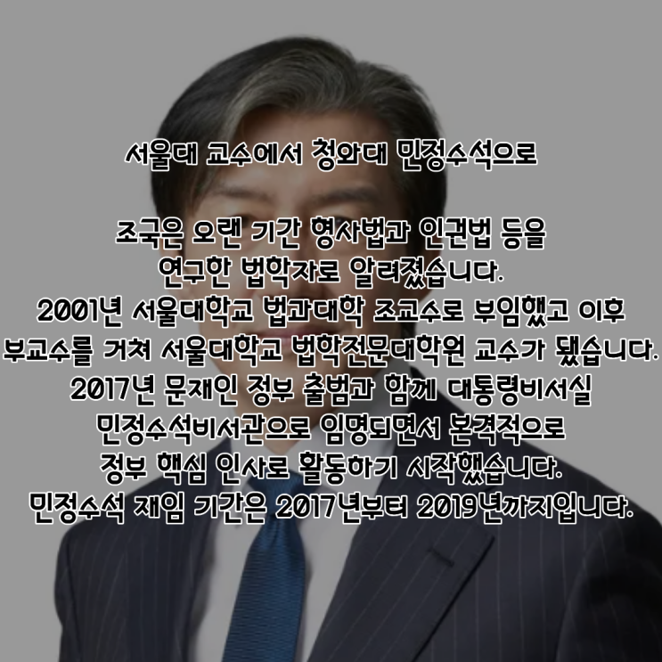 조국 PDF 수록 이미지